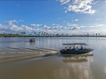 Boat Safaris