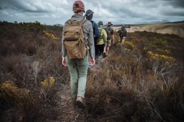 Walking Safaris