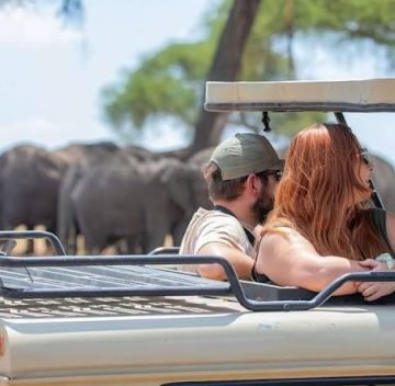 Family Safaris