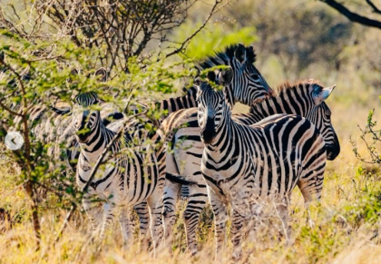 Eswatini (Swaziland)