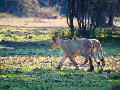 Ethiopia