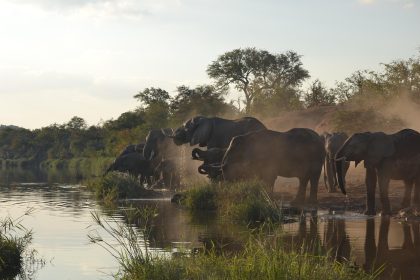 South Africa