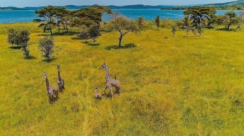 Burigi-Chato National Park