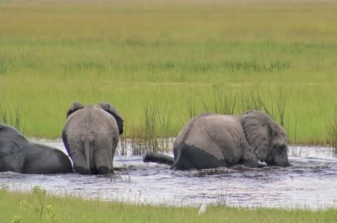 Bwabwata National Park