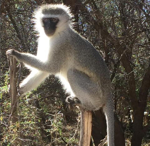 Camdeboo National Park