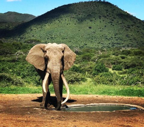 Chyulu Hills National Park