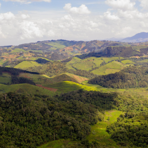 Gishwati-Mukura National Park