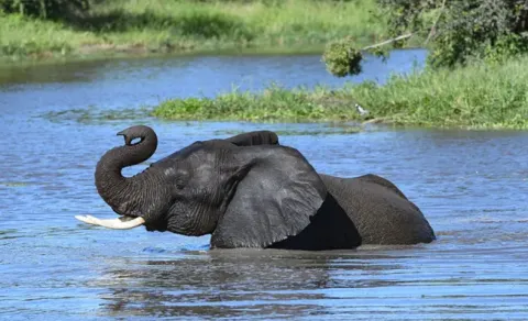 Inyati Private Game Reserve