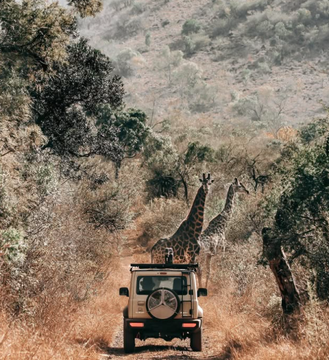 Ithala Game Reserve