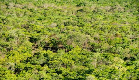 Kasungu National Park 
