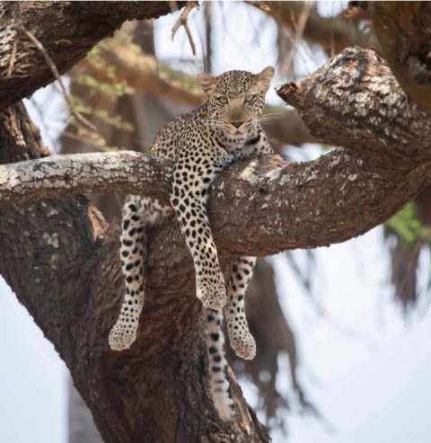 Katavi National Park