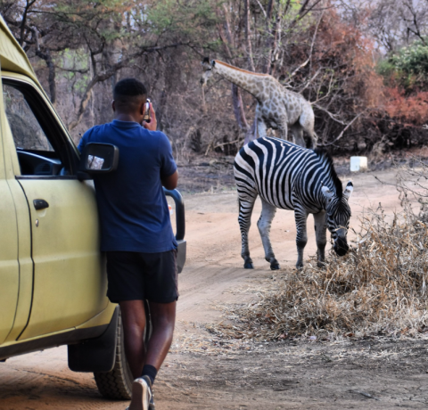Kuti Wildlife Reserve