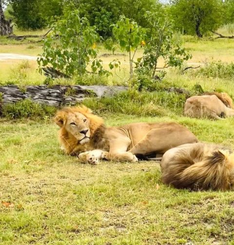 Makgadikgadi Pans National Park