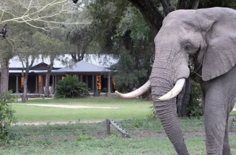 MalaMala Private Game Reserve