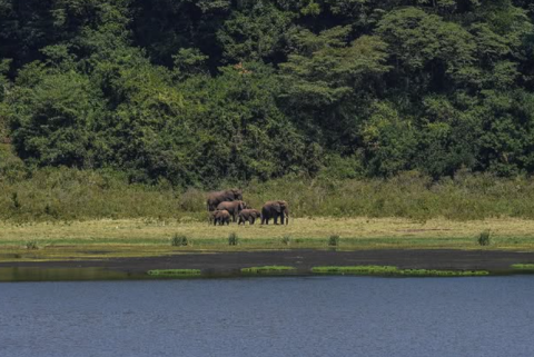 Marsabit National Park
