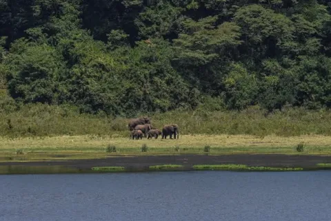 Marsabit National Park