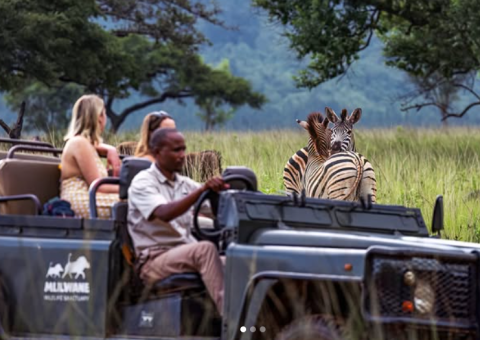 Mlilwane Wildlife Sanctuary