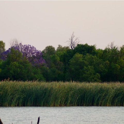 Mokolodi Nature Reserve 