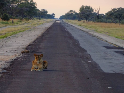 Mudumu National Park