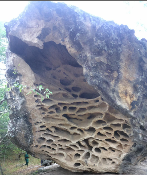 Mwabvi Wildlife Reserve