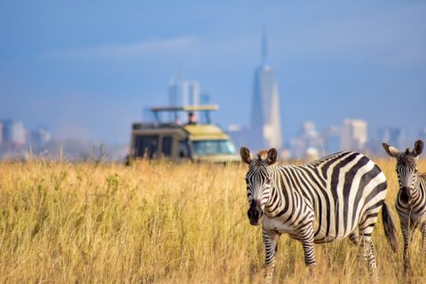 Nairobi National Park