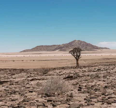 Namib-Naukluft National Park