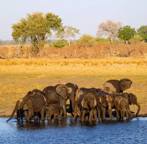 Nkasa Rupara (Mamili) National Park