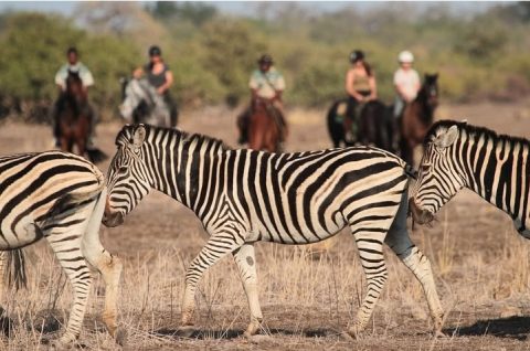 Northern Tuli Game Reserve