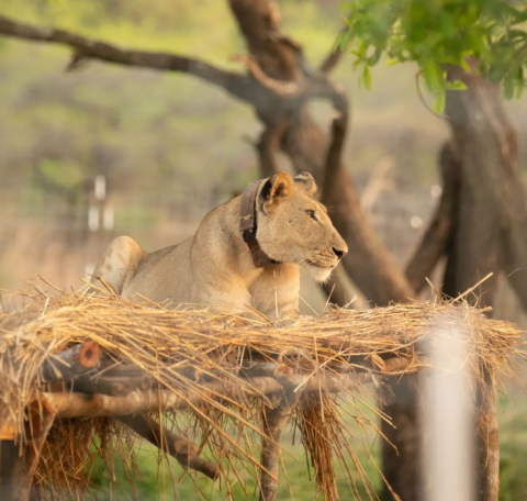 Nsumbu National Park