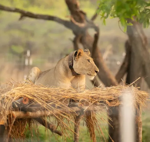 Nsumbu National Park