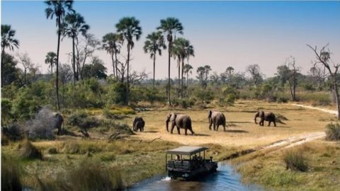 Okavango Delta