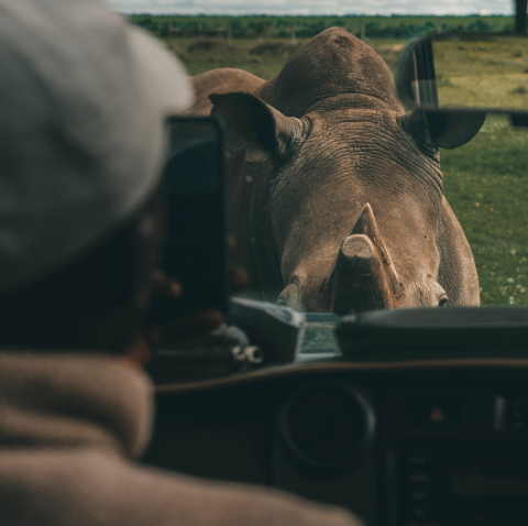 Ol Pejeta Conservancy
