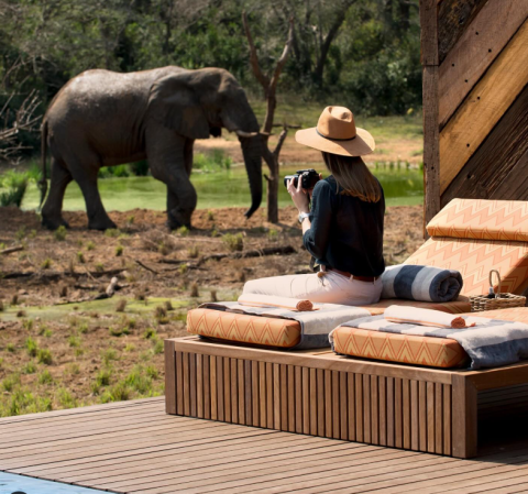 Phinda Private Game Reserve