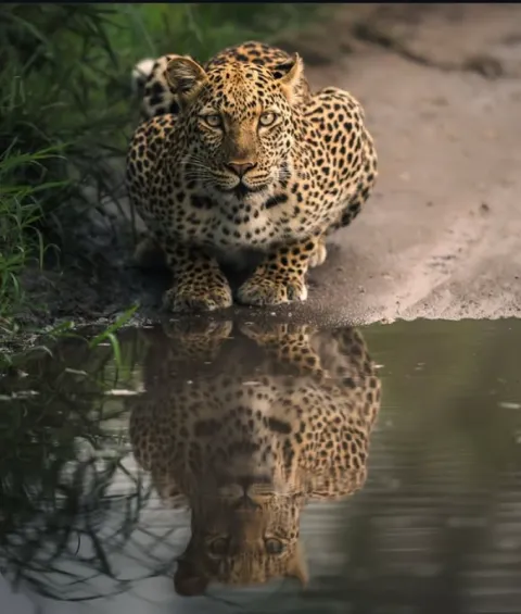 Queen Elizabeth National Park