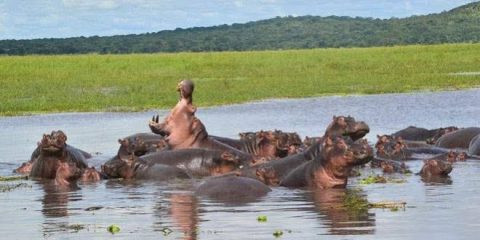 Rusizi National Park