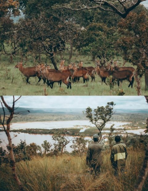 Ruvubu National Park