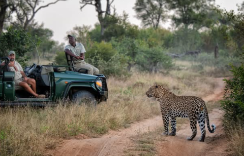 Sabi Sand Private Game Reserve
