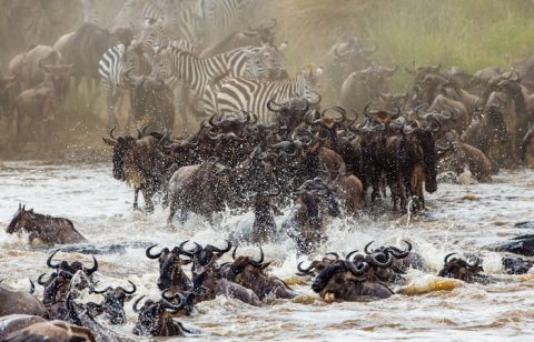 Serengeti National Park