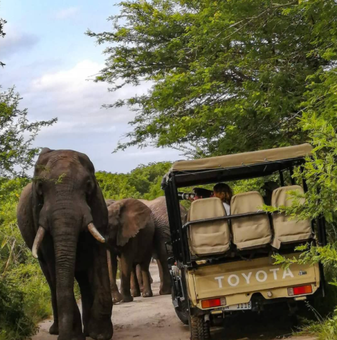 Tembe Elephant Park