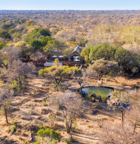 Thornybush Game Reserve