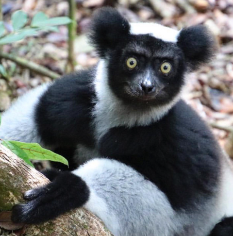 Tsimanampetsotsa National Park