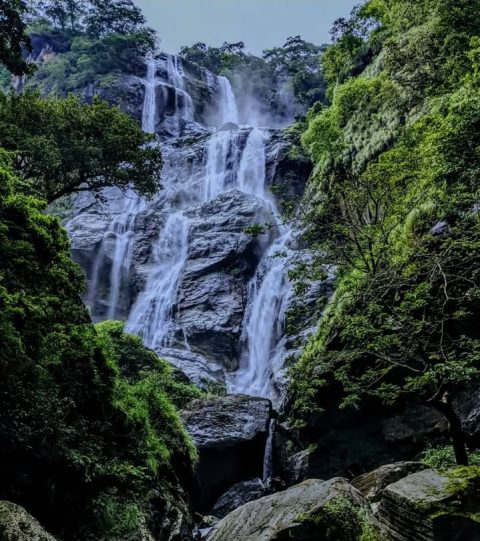 Udzungwa Mountains National Park