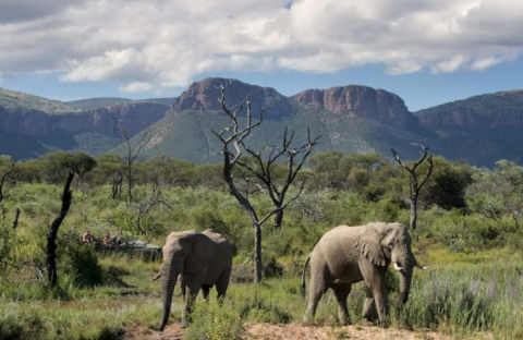 Waterberg Biosphere Reserve