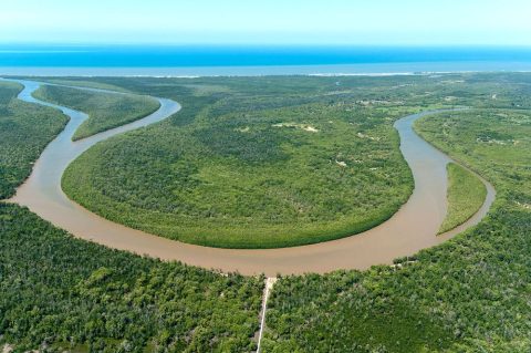 Rufiji River