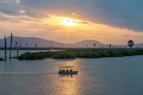 Alfamale Tours & Safaris cover image