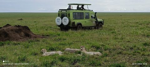 Bahati Safaris  cover image