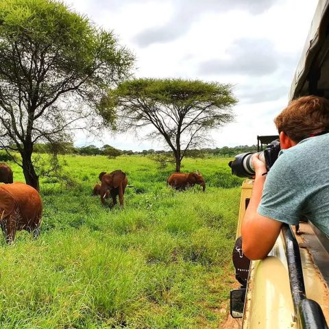 Kiliclimb Africa Safaris