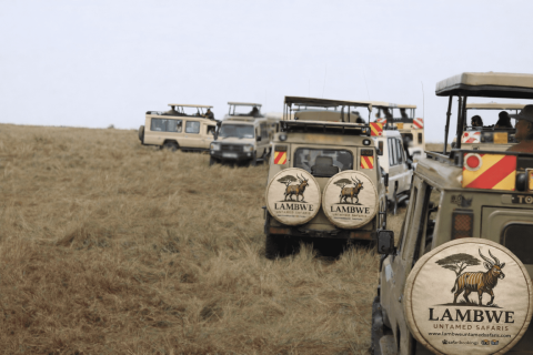 Lambwe Untamed Safaris Ltd cover image