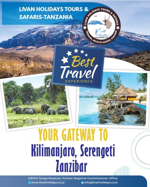Livan Holidays Tours & Safaris cover image