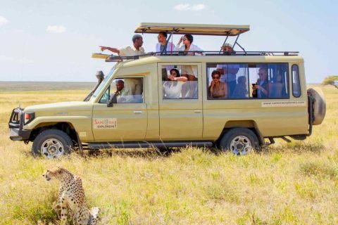 Samora Explorers Ltd cover image